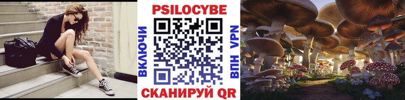 Купить где  Торжок  Галлюциногенные грибы Magic Shrooms 